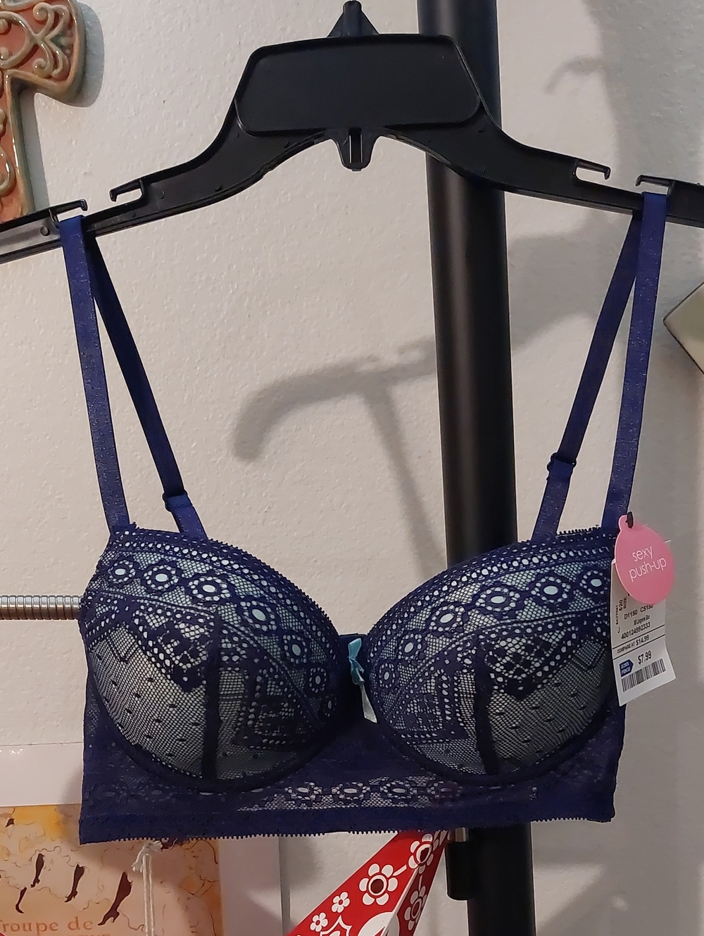 Blue Lace Pushup Bra